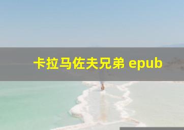 卡拉马佐夫兄弟 epub